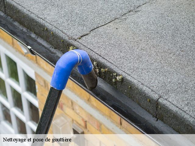 Nettoyage et pose de gouttière