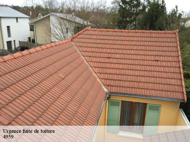 Urgence fuite de toiture  4959